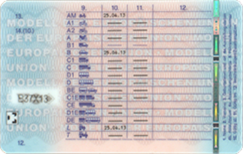 Abbildung der Rückseite des Führerscheins
